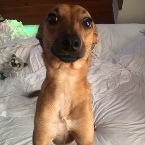 Meet your Posher, Kyle